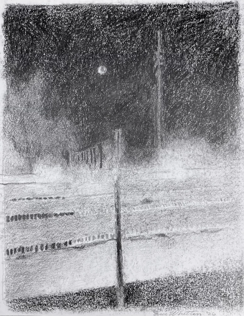 Image of Masters Swimming, 2026, pencil on paper, 8.5