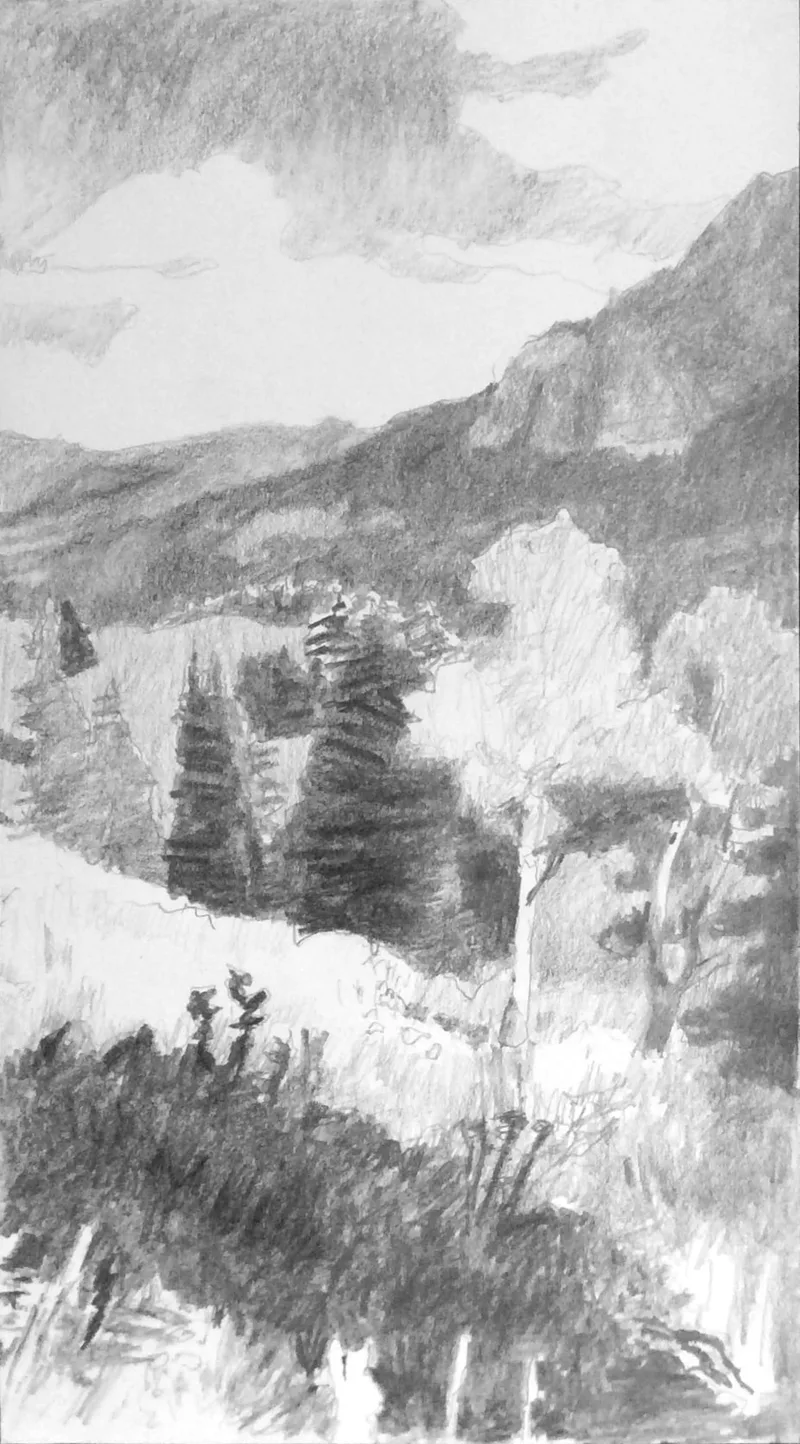 Image of Trail to Trout Lake, 2015, Pencil on Paper, 11