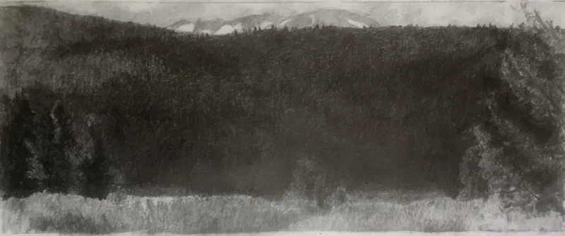 Image of Tuolumne Meadows, 2018, Pencil on Paper, 5.5