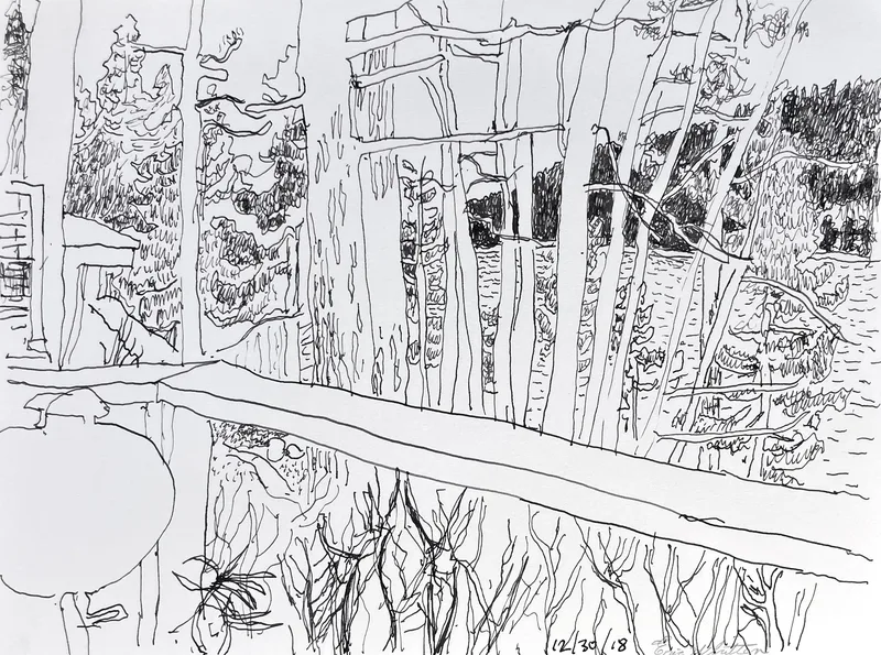 Image of The Porch at Donner Lake, 2018, pen on paper, 7.5