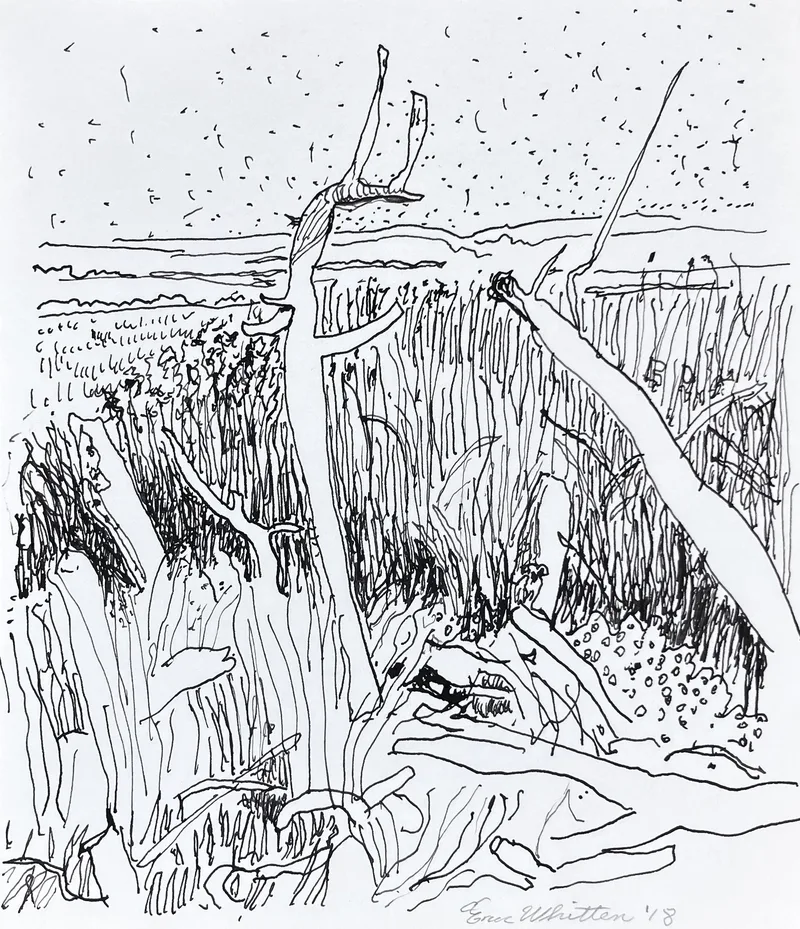Image of The Marsh on Tomales Bay, 2018, pen on paper, 7.5