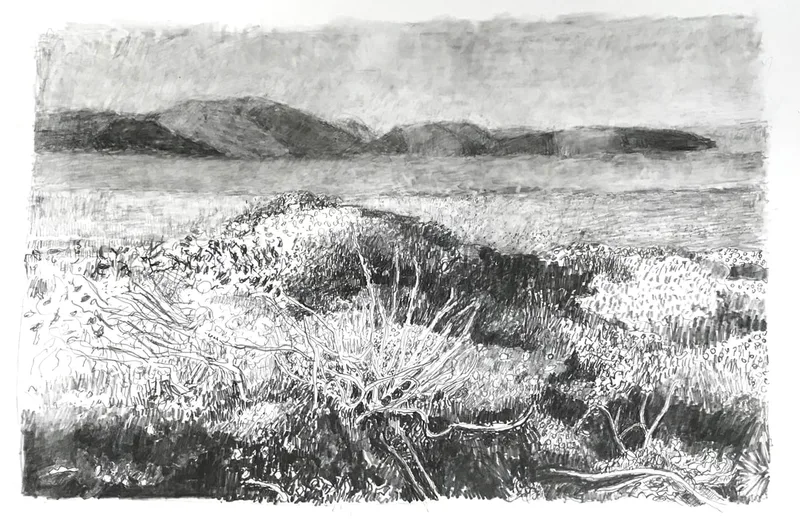 Image of Trail to Abbotts, 2023, pencil on paper, 7